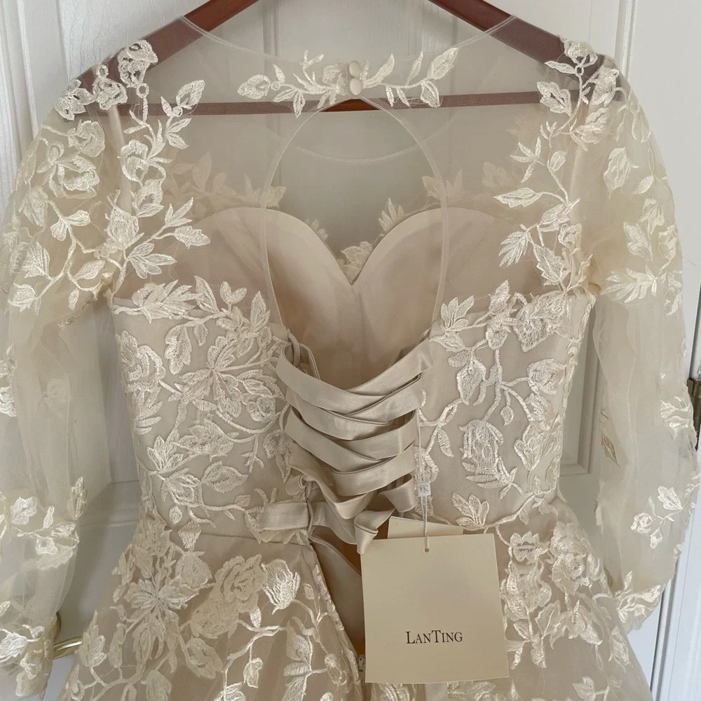 Gorgeous champagne lace wedding gown - Picture 8 of 12